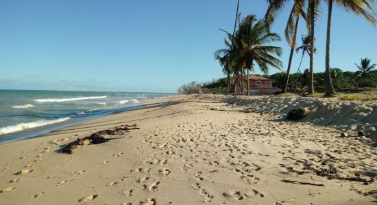 Praia Dos Coqueiros