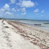 Carne de Vaca stranden