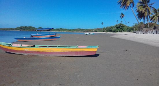 Praia do Rio Mamanguape