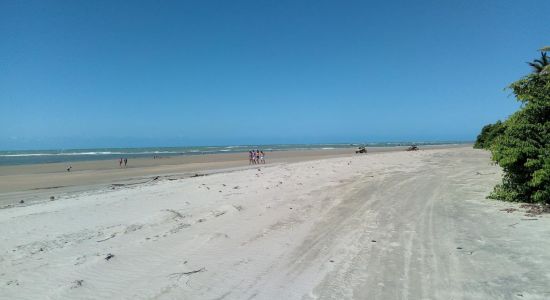 Praia da Baleia
