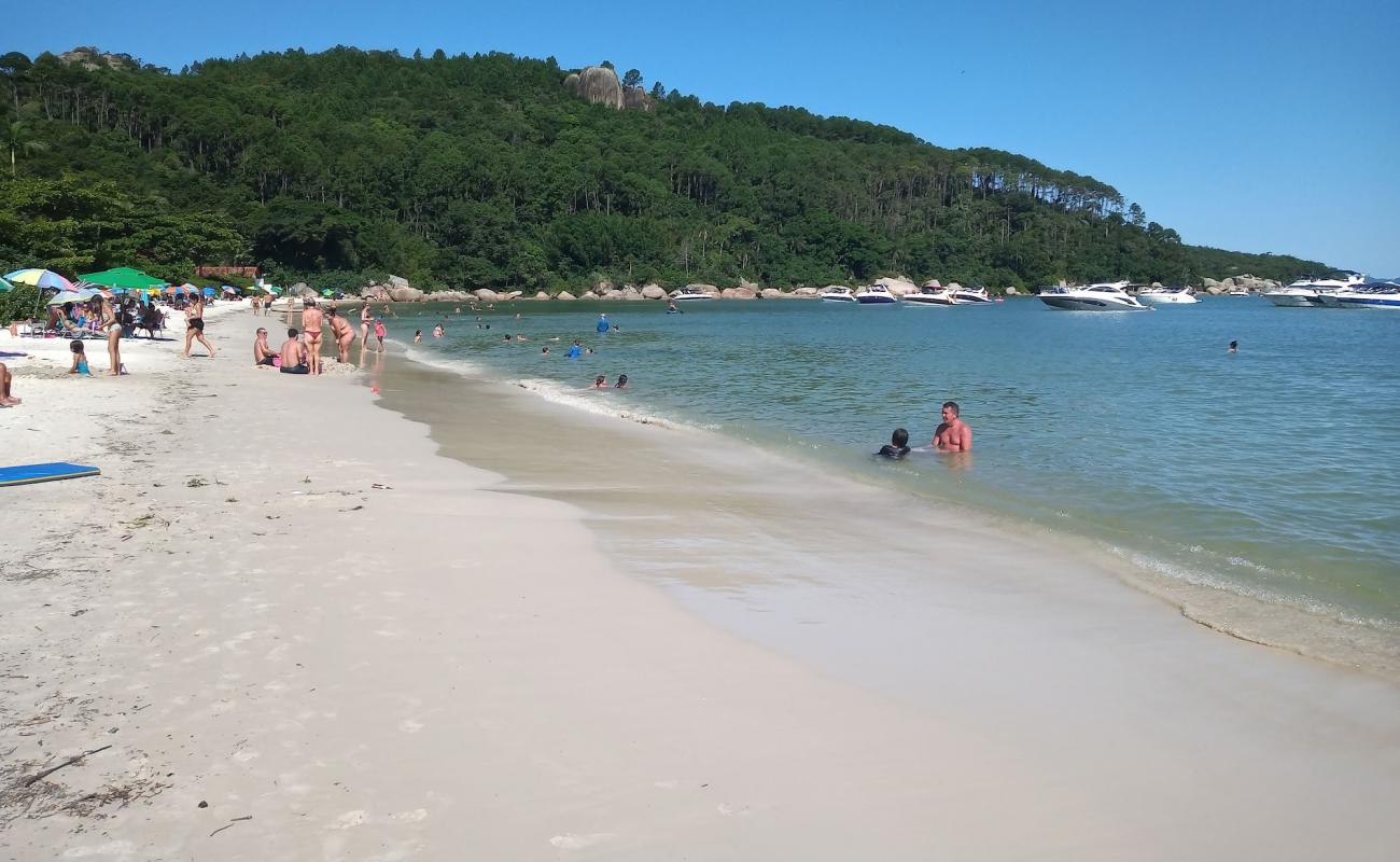 Praia do Tingua