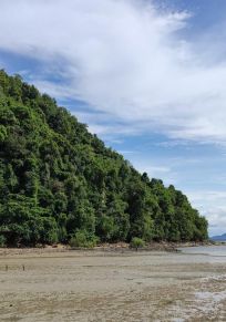 Insula Koh Libong