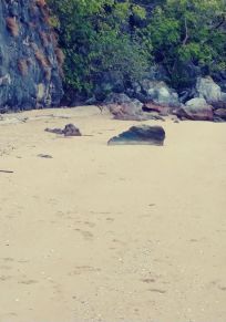 Ban Hin Rom