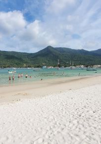 帕岸岛