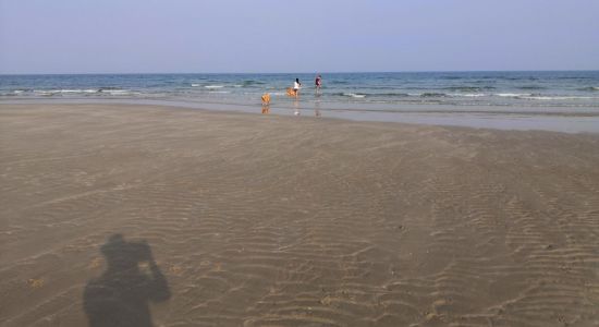 Dune Sand Beach