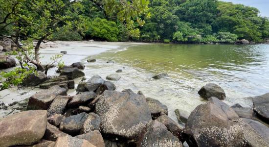Praia dos Namorados