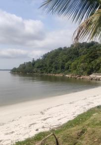 Ilha das Cobras