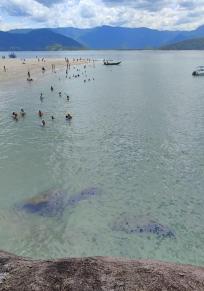 Isola dos Porcos
