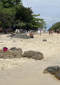 Ilha de Cataguás