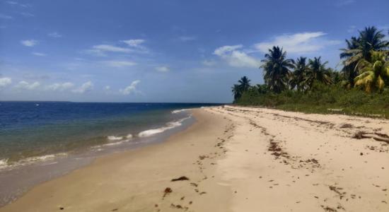 Ilha do Goio Beach