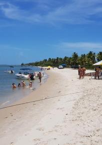 Eiland Ilha do Sogro