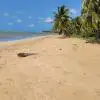 Praia de Bitingui