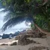 Praia da Carnaubinha