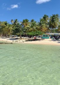 Tobago island