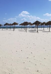 Bizerte