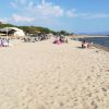 Professors beach