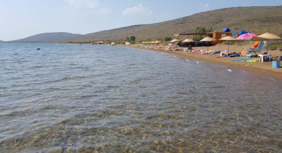 Alibey beach