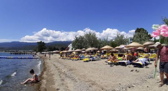 Palmera beach
