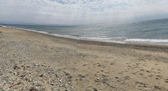 Sardunya beach