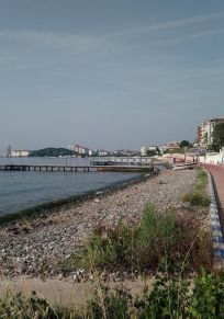Provinsen Yalova