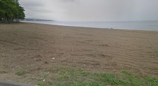 Arastirma beach