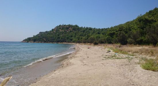 Alcitepe beach II