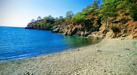 Karşı AKBAŞ Koyu