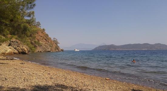 Yatli Koyu