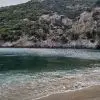 Vaccine Bay III