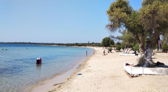 Fevzi Cakmak beach