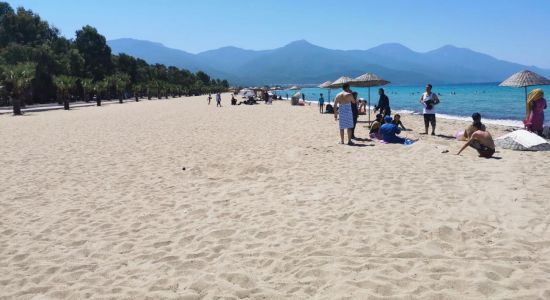 Kusadasi beach II