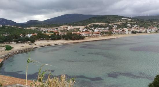 Ardic Beach IV