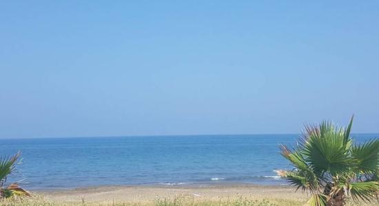 Rhosus beach II