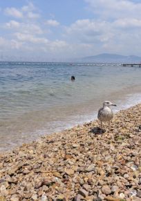 Νήσος Κιναλιαντά