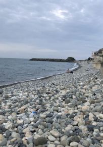 Provinsen Rize
