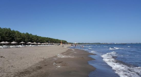Milic Beach