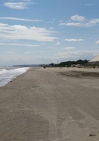 Provinsen Samsun