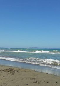 Provinsen Sinop