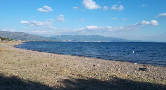 Doganbey Sakiz Agaci Mevkii Halk Plaji