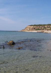 Seddulbahir