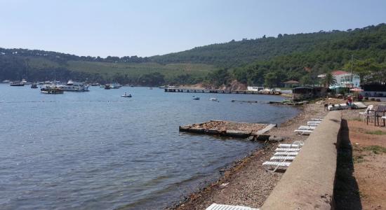 Pine Harbor Bay