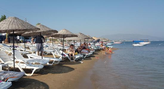 Sakiz Agaci Plaji