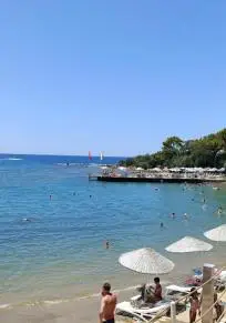 Avsallar