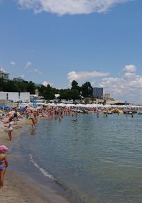 Obwód odeski