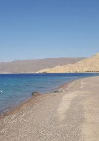 Taba