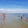 Plaja Knoll din Studland