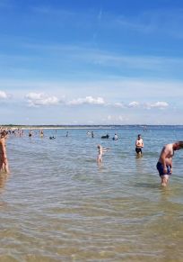 Studland