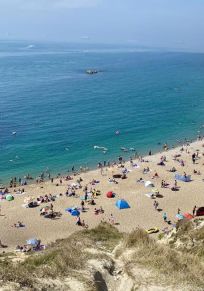 Comitatul Dorset
