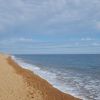 Spiaggia Hive