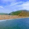 Jurassic Coast - Cliff
